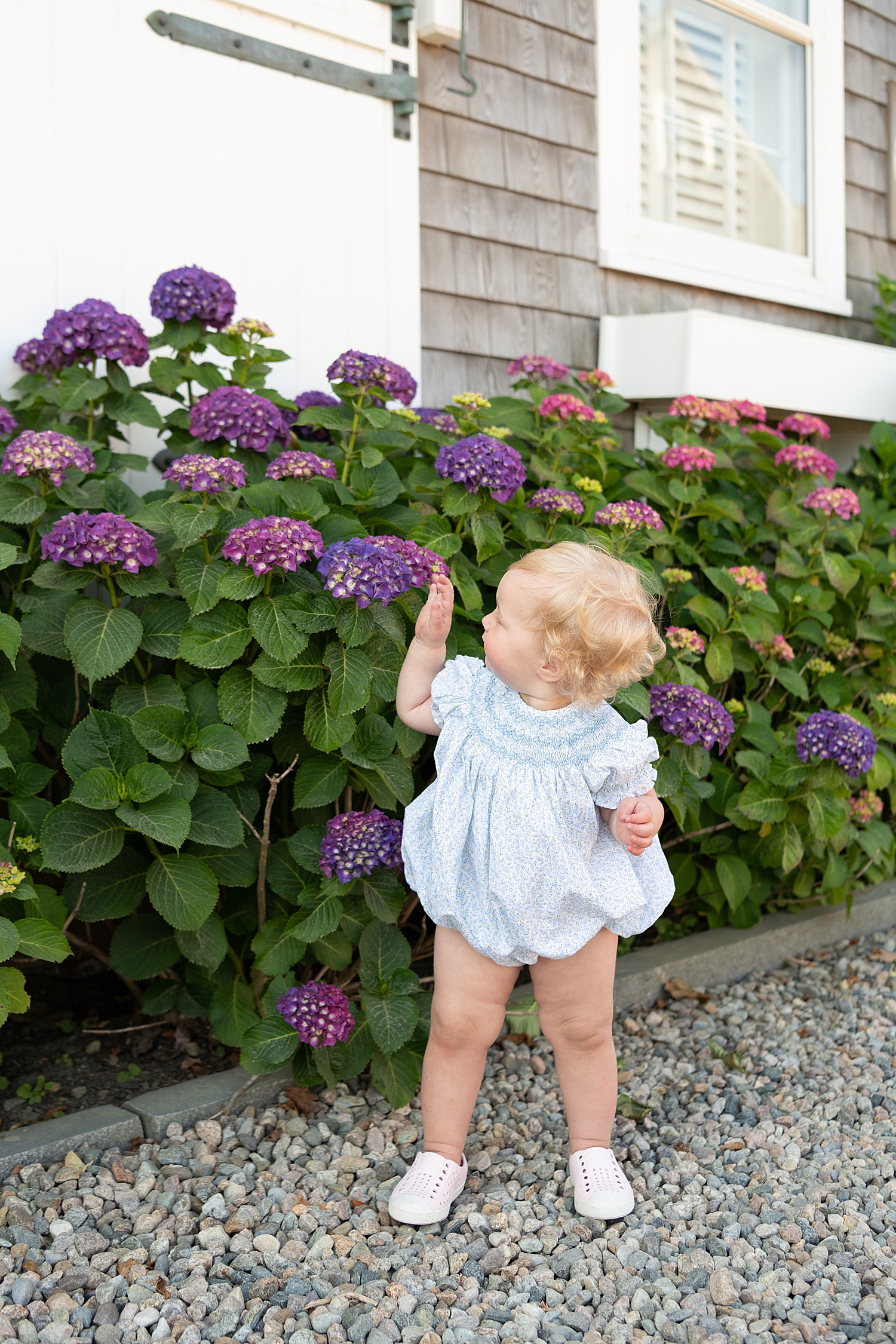small baby stands next to flowers curiously by Rachel Elizabeth Photography