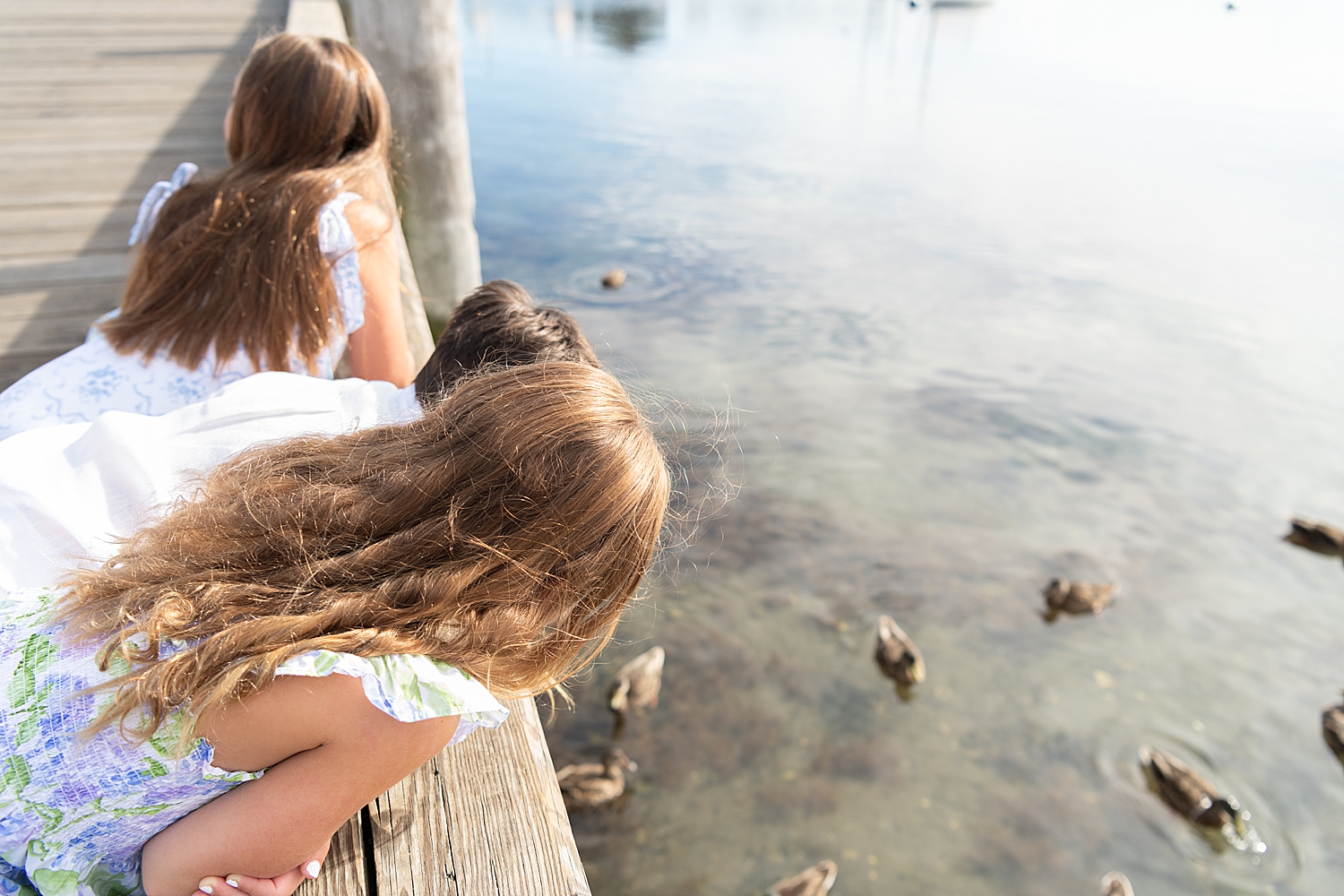 little girls look over at ducks in pond on island by Rachel Elizabeth Photography
